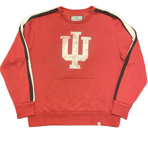Other - *SALE* IU Sweatshirt - size large